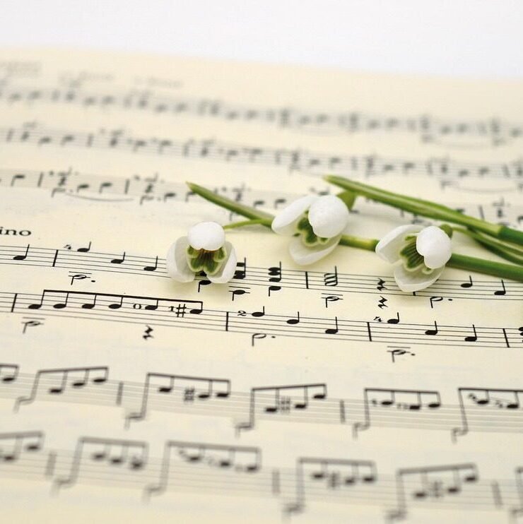 sheet music, concert, music, snowdrop, songs, easter songs, easter, spring, spring songs, to sing, teacher gradebook, grades, notenblatt, choir, make music, spring awakening, nature, spring music